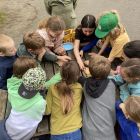 Wilde (bijen en) kindjes deel 1