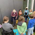 Wilde (bijen en) kindjes deel 1