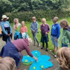 Wilde (bijen en) kindjes deel 1