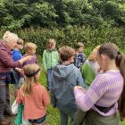 Wilde (bijen en) kindjes deel 1