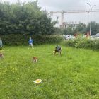 Wilde (bijen en) kindjes deel 1