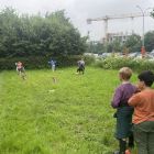 Wilde (bijen en) kindjes deel 1