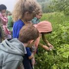 Wilde (bijen en) kindjes deel 1