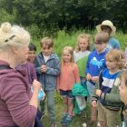 Wilde (bijen en) kindjes deel 1