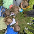 Wilde (bijen en) kindjes deel 1