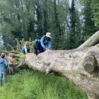 Wilde (bijen en) kindjes deel 1