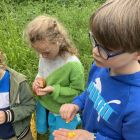 Wilde (bijen en) kindjes deel 1