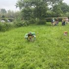 Wilde (bijen en) kindjes deel 1