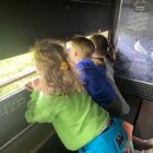 Wilde (bijen en) kindjes deel 1