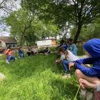 De boerderij 3C