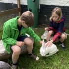 De boerderij 3C