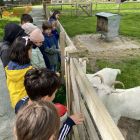 De boerderij 3C