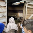 De boerderij 3C