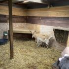 De boerderij 3C