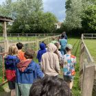 De boerderij 3C
