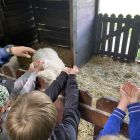 De boerderij 3C