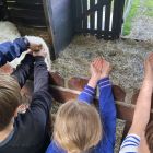 De boerderij 3C