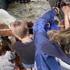 De boerderij 3C