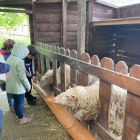 De boerderij 3C