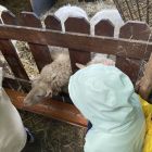 De boerderij 3C