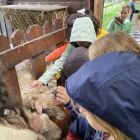 De boerderij 3C