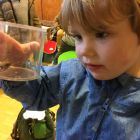 Welkom in de boekenclub: spinnen (vertelfestival - voorleesweek)