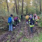 Naar het bos!