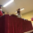 Thema Sinterklaas: van moeilijke dilemma’s tot creatieve ontwerpen.