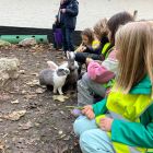 Een beestige dag op kinderboerderij De Campagne