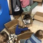 Dozen groot en klein, spelen met dozen is fijn