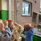 Vogels voeren en beloeren