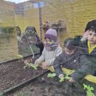 Van klaslokaal tot tuincentrum