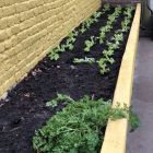 Van klaslokaal tot tuincentrum