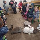 Op stap naar de kinderboerderij 'De Campagne' in Drongen