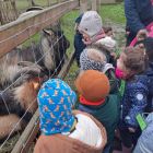 Op stap naar de kinderboerderij 'De Campagne' in Drongen