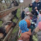 Op stap naar de kinderboerderij 'De Campagne' in Drongen