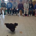 2kc - Piep, het is Pasen!