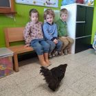 2kc - Piep, het is Pasen!