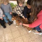 Anna wil een huisdier
