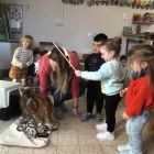 Anna wil een huisdier
