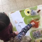 Anna wil een huisdier