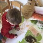Anna wil een huisdier