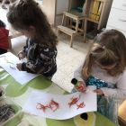 Anna wil een huisdier
