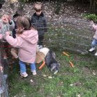 Anna wil een huisdier