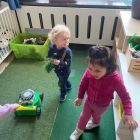 Bloemen in de tuin