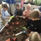 Bloemen in de tuin