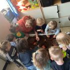 Bloemen in de tuin